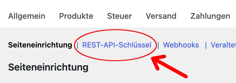 Eintrag REST-API in den erweiterten Einstellungen von WooCommerce