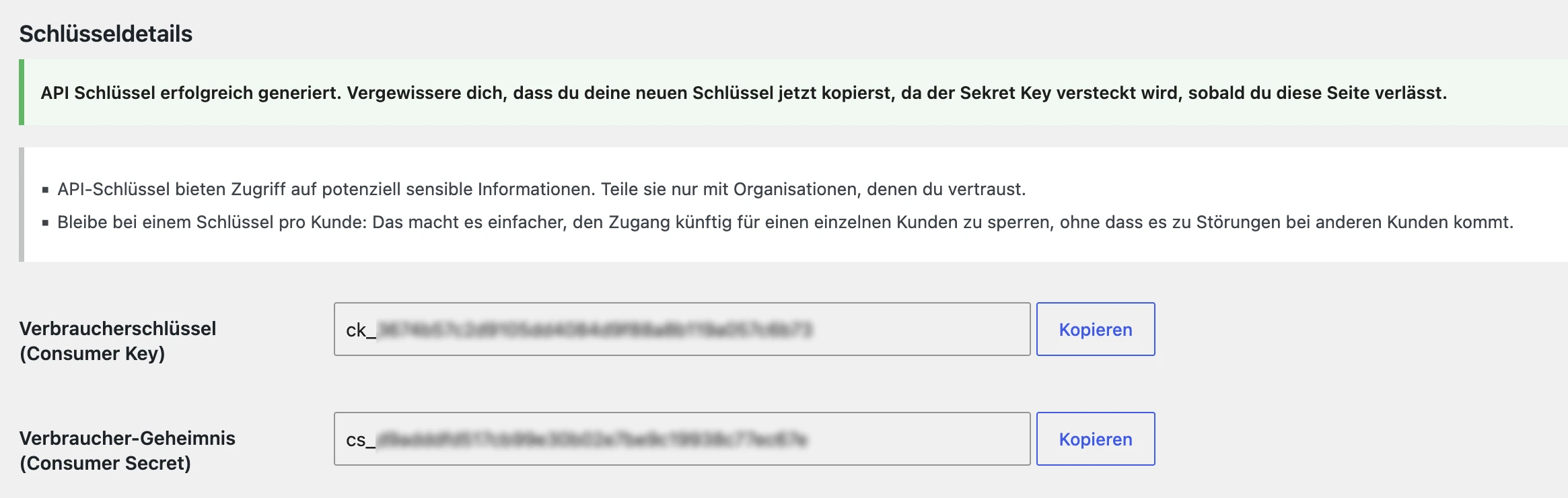 Fertige Schlüsseldetails mit Verbraucherschlüssel und Verbraucher-Geheimnis