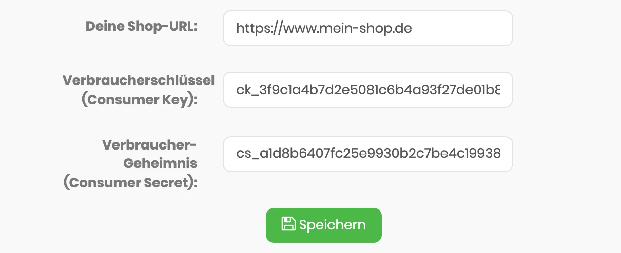 Formular in billware mit Shop-URL, Verbraucherschlüssel und Verbraucher-Geheimnis